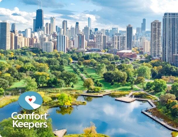 Skyline view of Chicago Illinois