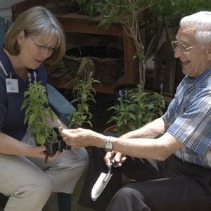 Herbal Gardening and Its Benefits