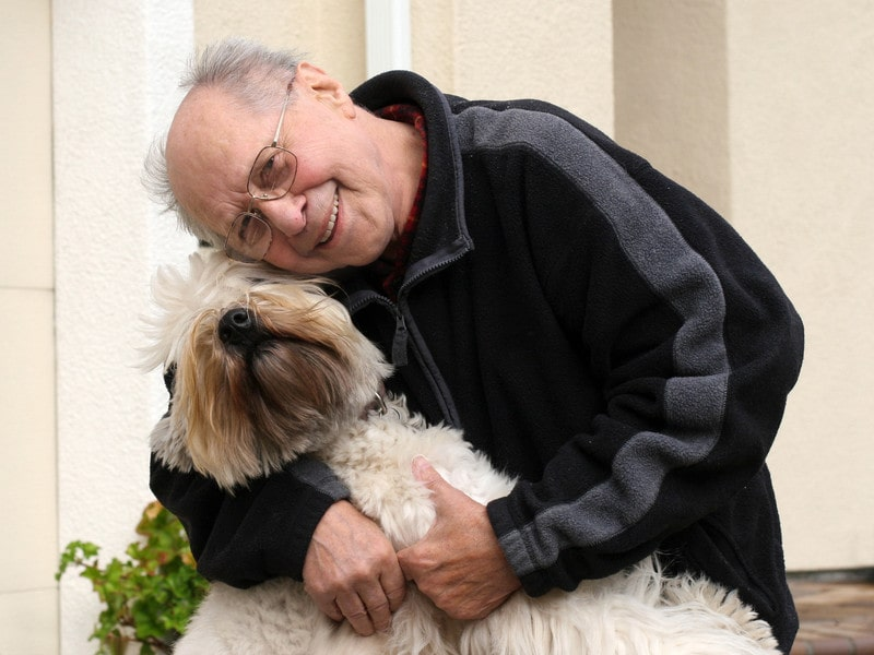 home care assistance