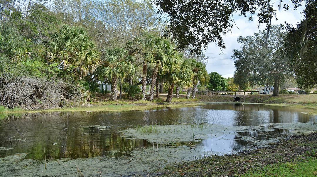 senior care port charlotte