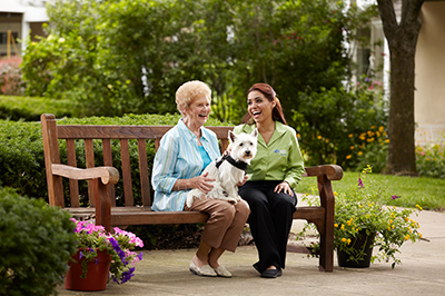 home care services carrollton