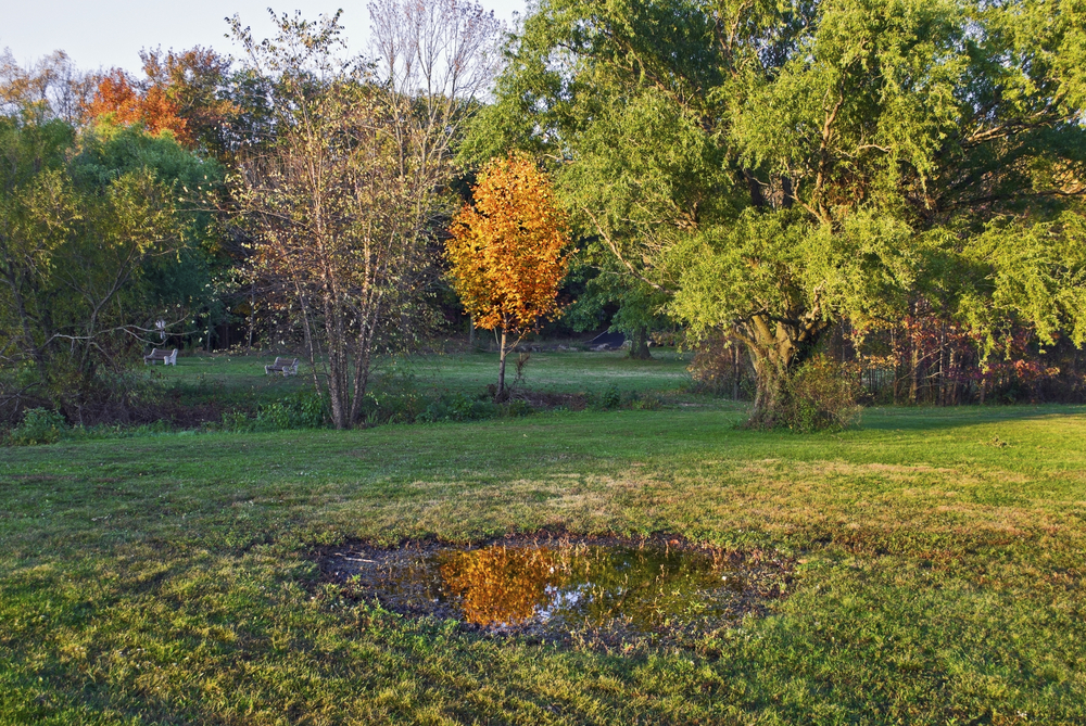 park located in colonia, nj