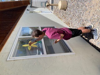 Photo of caregiver painting a sunflower on a window