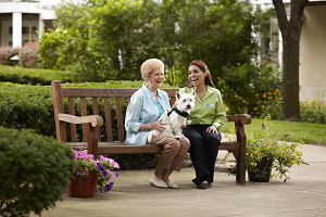 Comfort Keeper Walking With Senior in Centreville