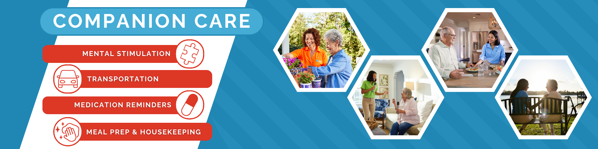 companion care in davie, fl