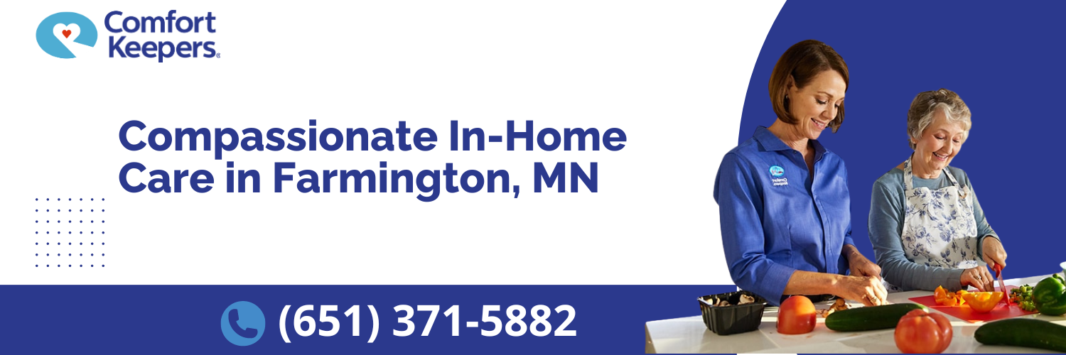 Comfort Keepers Farmington, MN