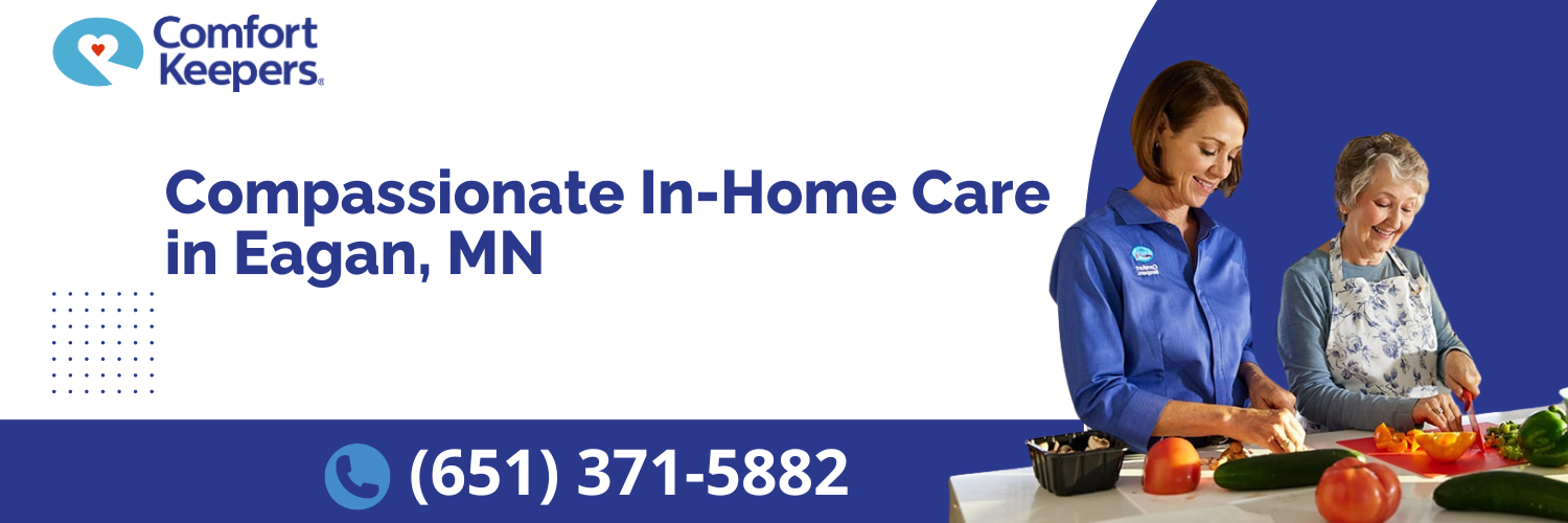 Comfort Keepers Eagan