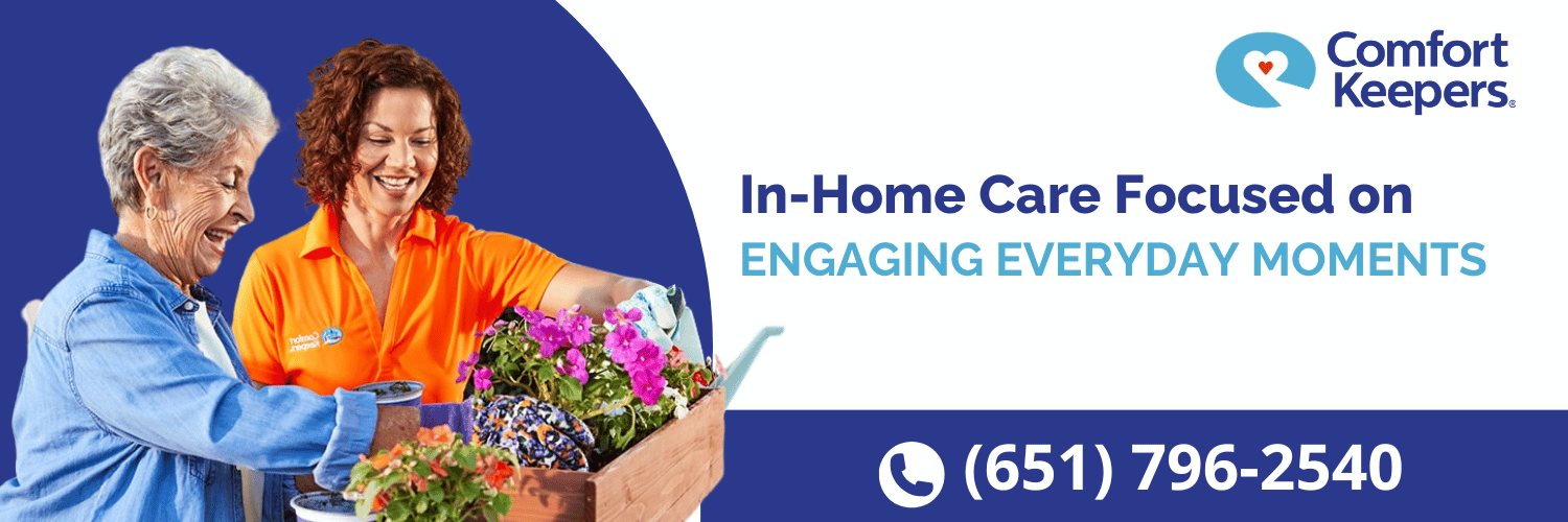 Comfort Keepers Interactive Caregiving Twin Cities