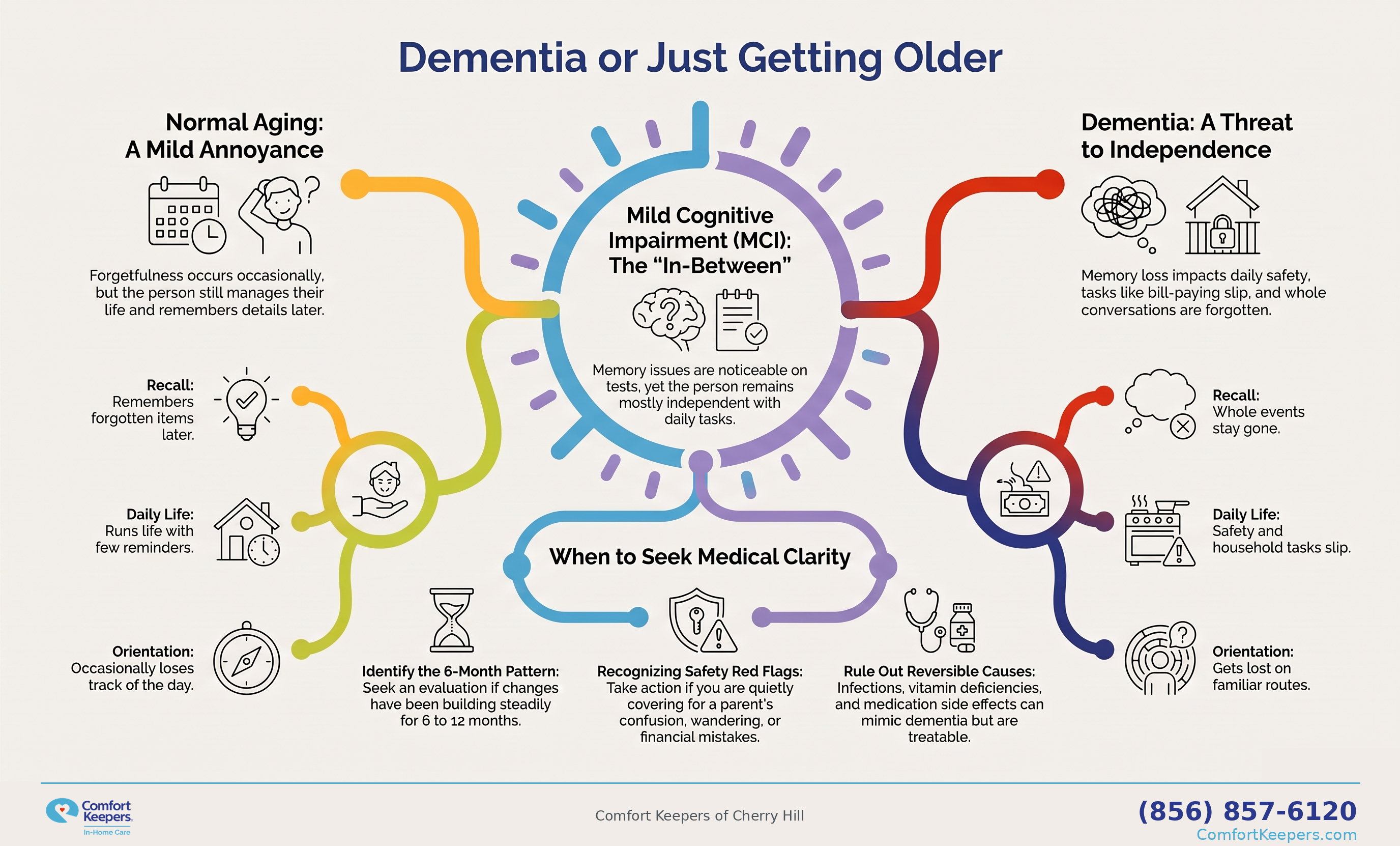 Infographic comparing normal aging, mild cognitive impairment, and dementia
