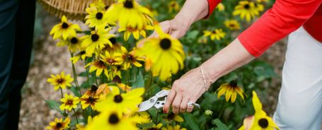 Home Health Care Agency Gainesville Fl