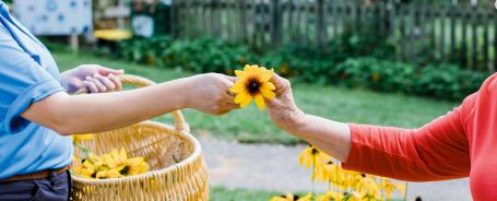 caregiver giving a sunflower to senior 