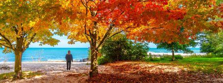 Respite Care in Wayzata, MN