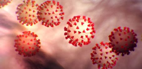 Image of Coronavirus COVID-19 cells under microscope