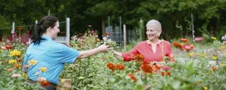 caregiver and senior woman picking flowers in a garden