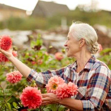 Elderly woman picks flowers in a rural area.