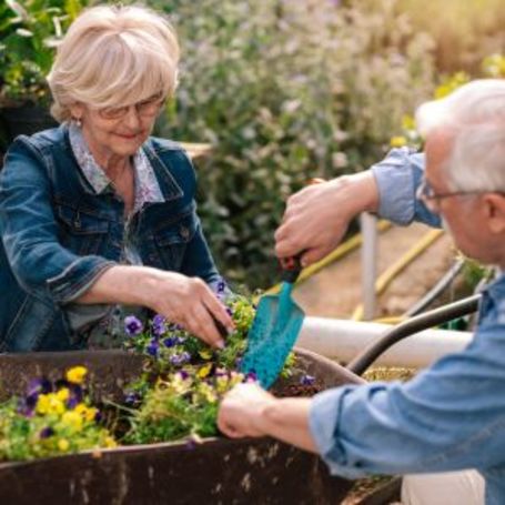 Two comfort keepers clients garden in their yard.