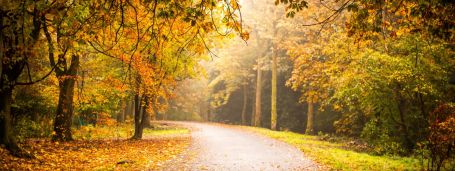 Private Duty Home Care in Harbor Springs, MI