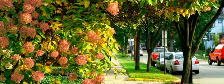 home care in mission viejo, ca