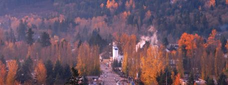 Home Care Services in Los Altos Hills, CA | Comfort Keepers