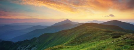 Companion Care in Elmira, MI