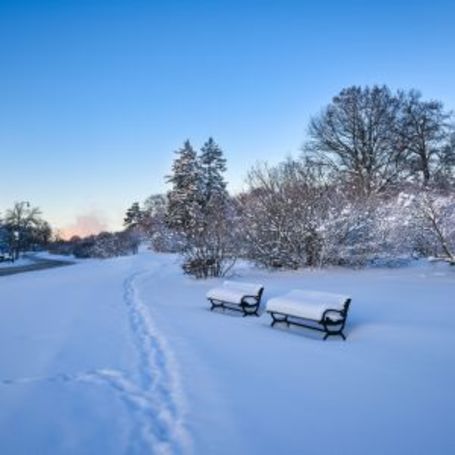 Managing Arthritis in Rochester's Cold, Snowy Climate
