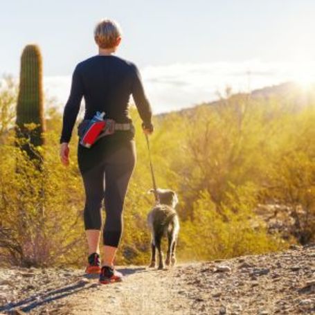 Senior-Safe Desert Hiking: Enjoying Arizona Nature at Any Age