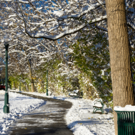 Emergency Preparedness for Rochester Seniors: Lake Effect Snow and Power Outages