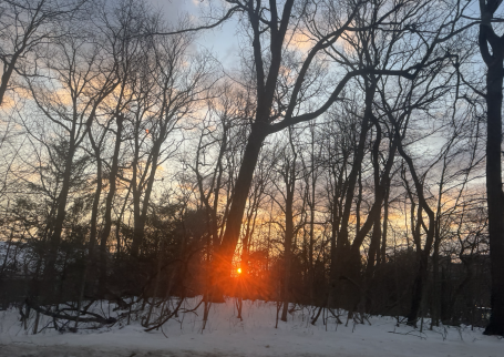 Setauket February 2026