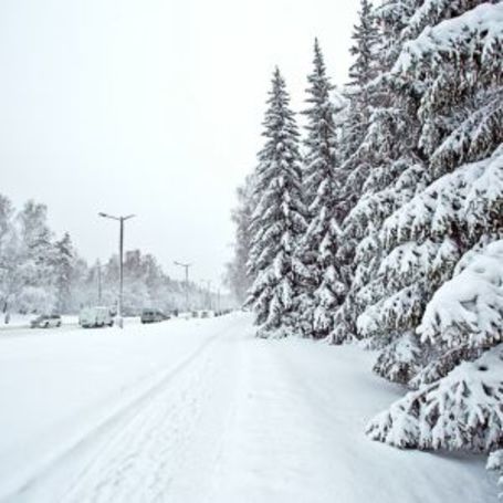 Senior Storm Preparedness: Lake Effect Snow and Winter Weather Safety