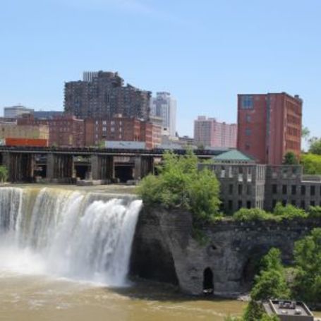 Managing Senior Health During Rochester's Allergy Seasons