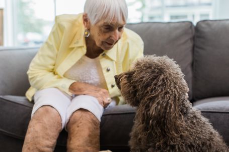 Senior woman sitting on a couch smiling while petting her small dog in a sunlit living room.