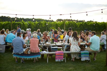 Large Family Picnic in White Bear Lake Comfort Keepers