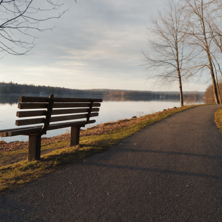 Empty wooden bench beside a paved lakeside path facing calm water on a grey autumn morning