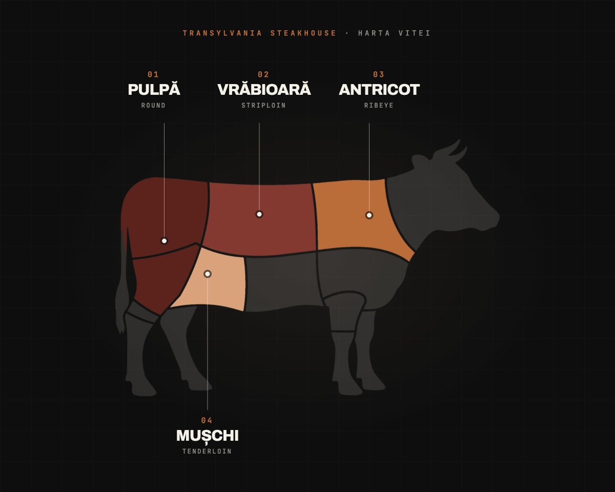 Harta vitei: pulpă, vrăbioară, antricot și mușchi marcate pe silueta unei vite, ghid Transylvania Steakhouse Cluj-Napoca