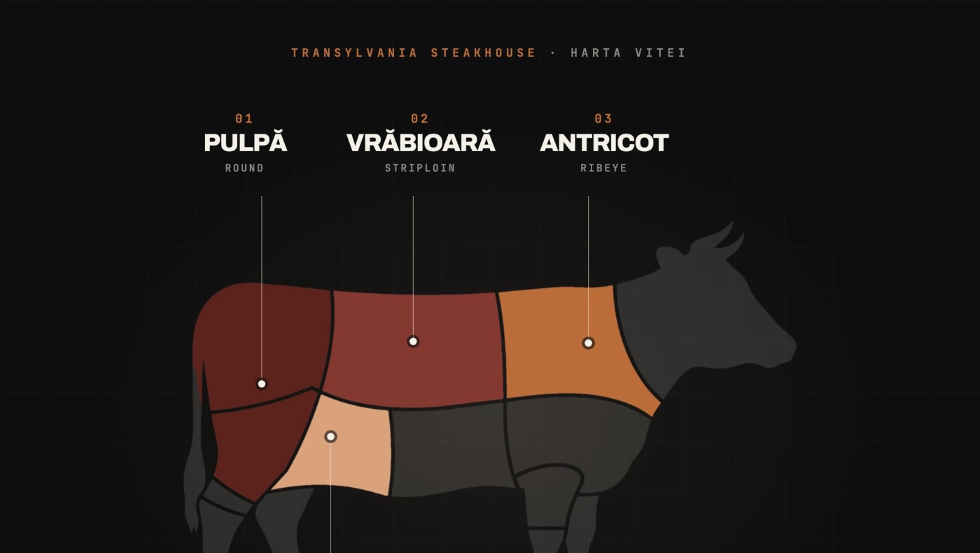 Harta vitei: pulpă, vrăbioară, antricot și mușchi marcate pe silueta unei vite, ghid Transylvania Steakhouse Cluj-Napoca