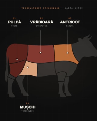 Harta vitei: pulpă, vrăbioară, antricot și mușchi marcate pe silueta unei vite, ghid Transylvania Steakhouse Cluj-Napoca