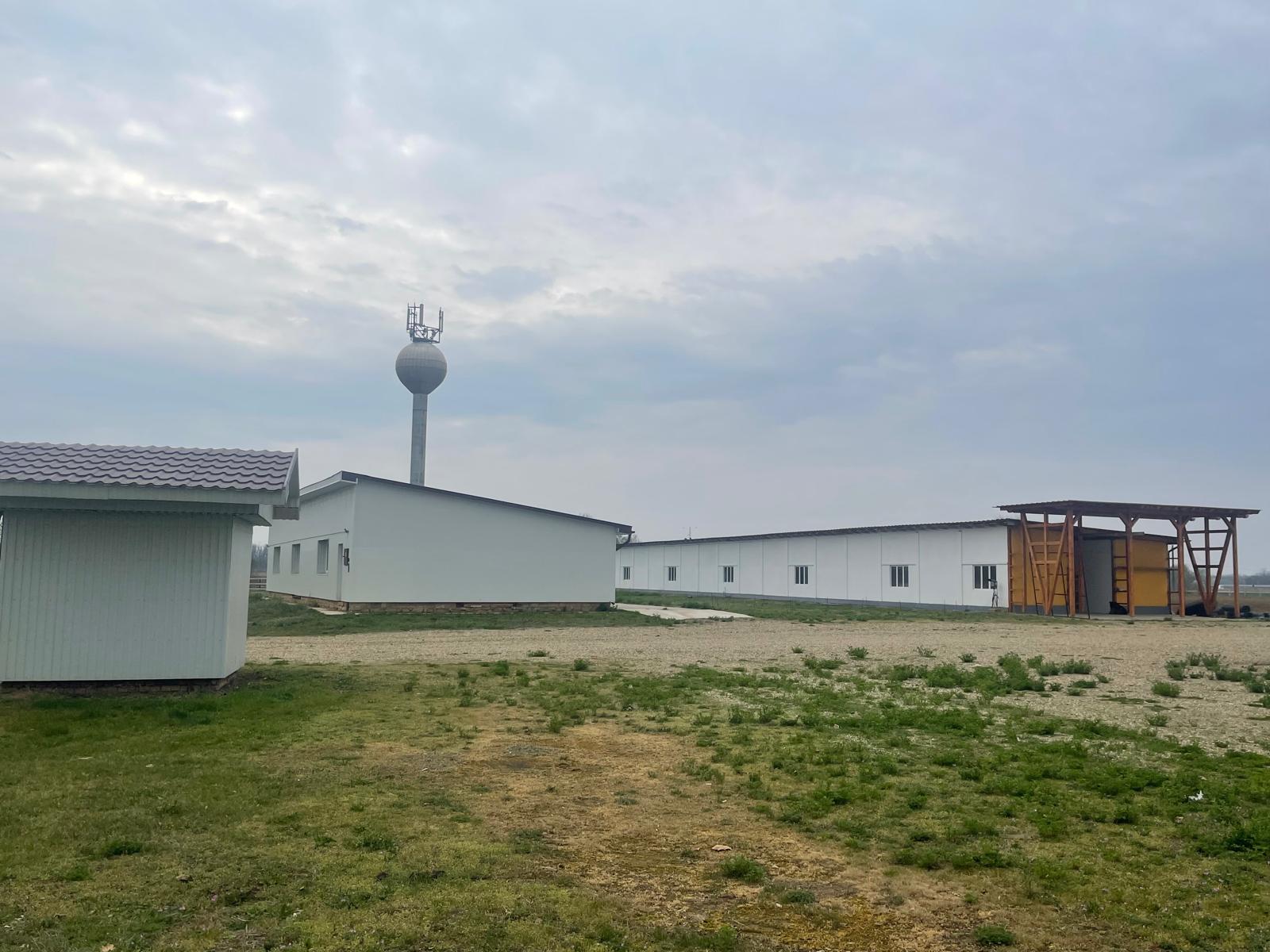 Kép 5