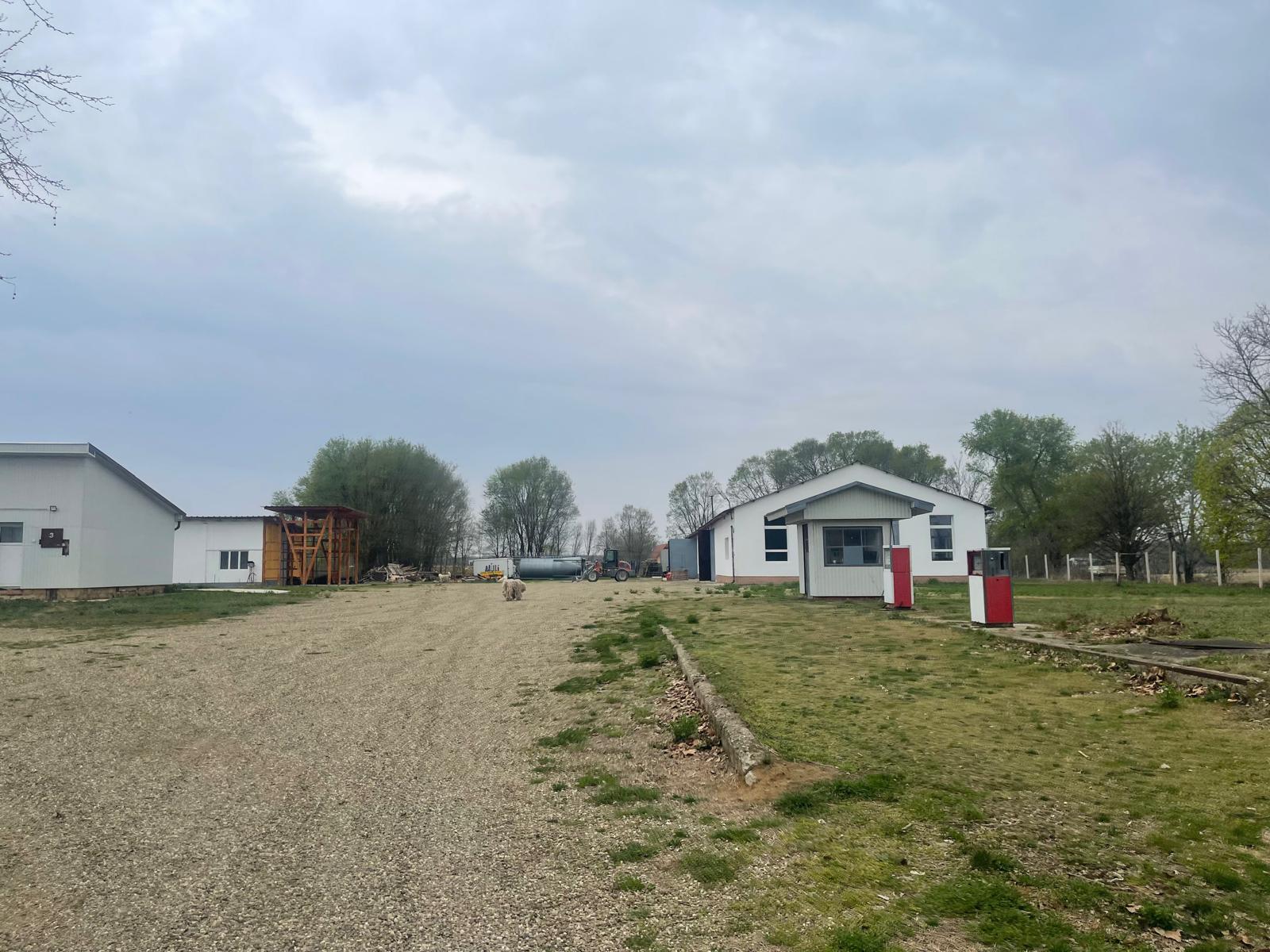 Kép 3