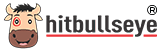 Hitbullseye logo