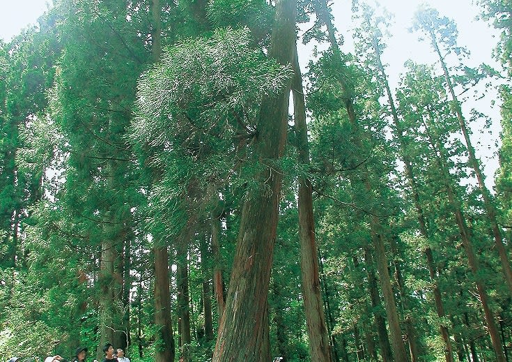 家族みんなが笑顔に。豊かで安心できる家づくり