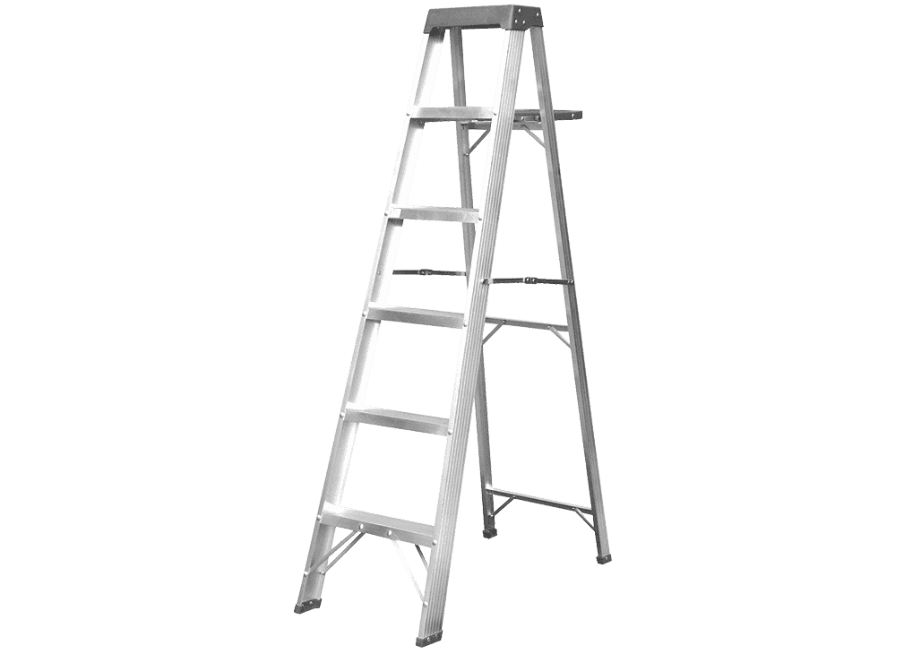 Ladder