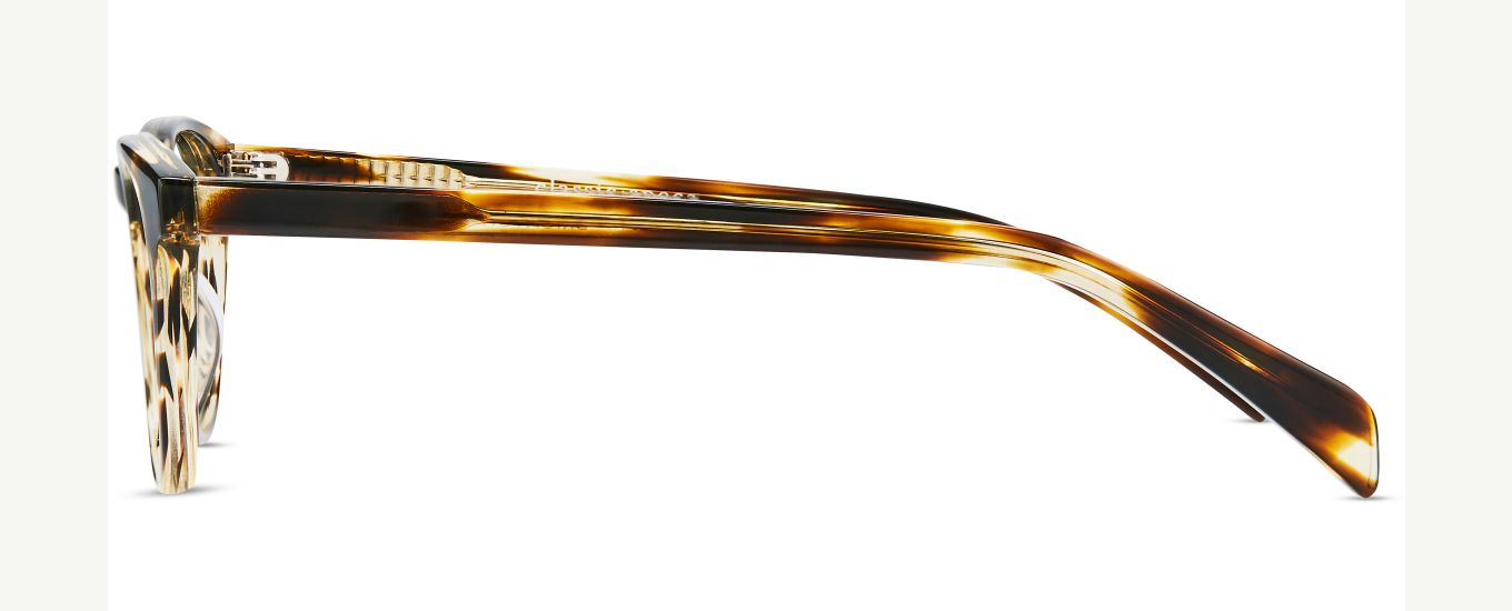 Brighton Prescription Eyeglasses in for Classic Specs