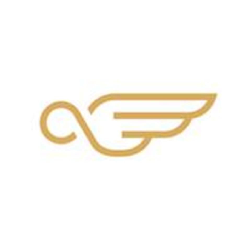 FLYPROJECT logo