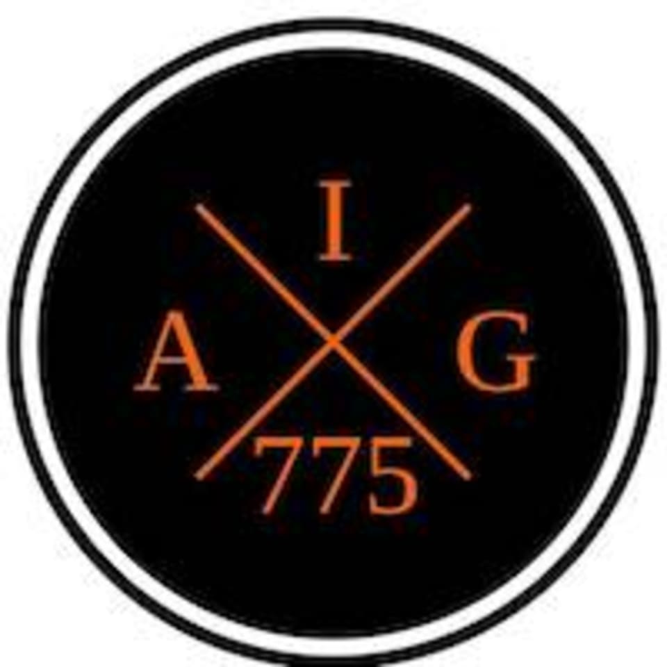 American Iron Gym logo