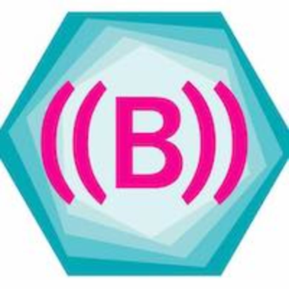 BFit Body Sydney logo