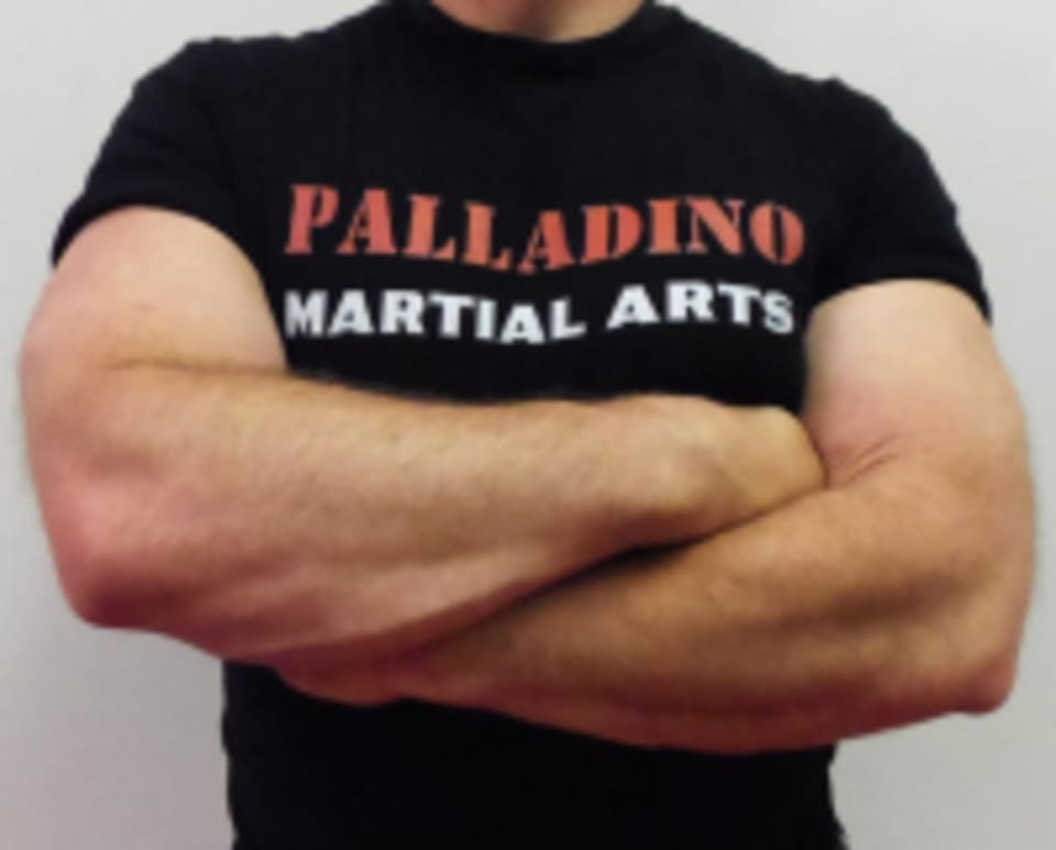Palladino Martial Arts logo
