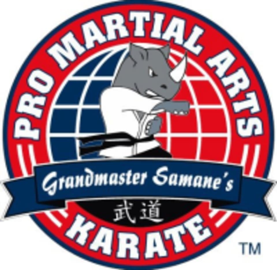 Pro Martial Arts logo