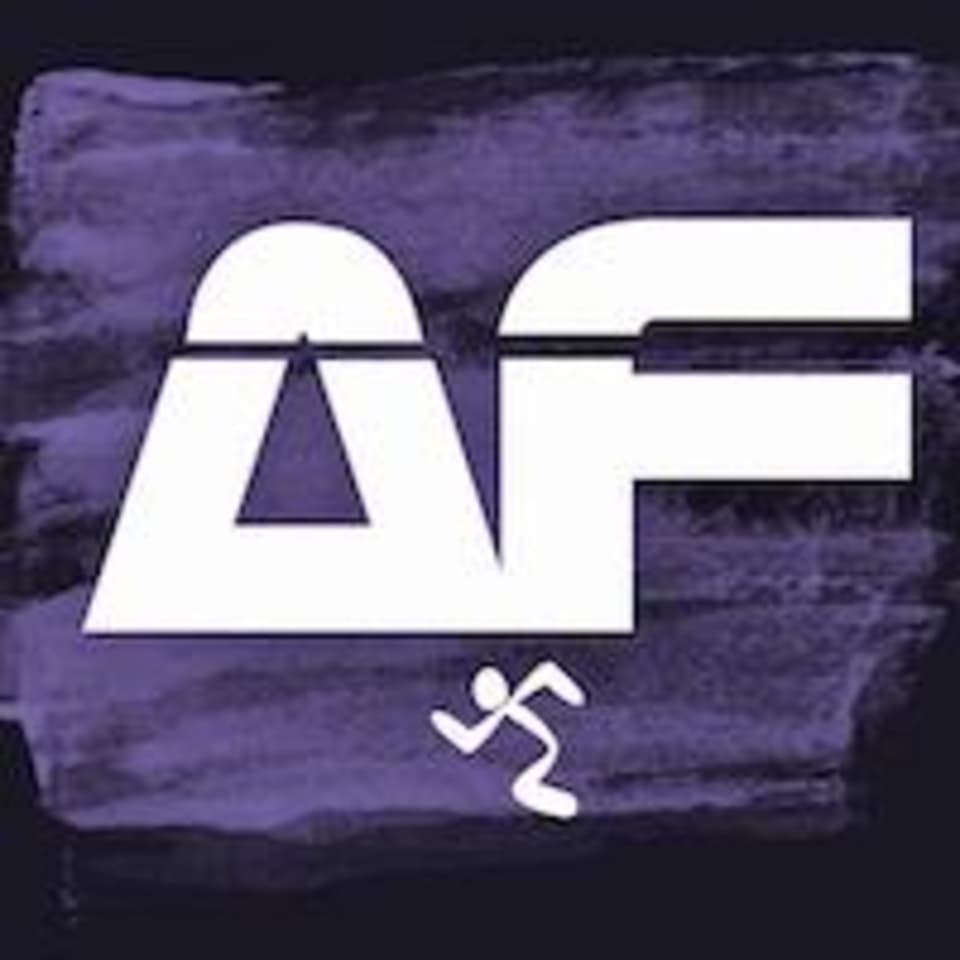 Anytime Fitness logo