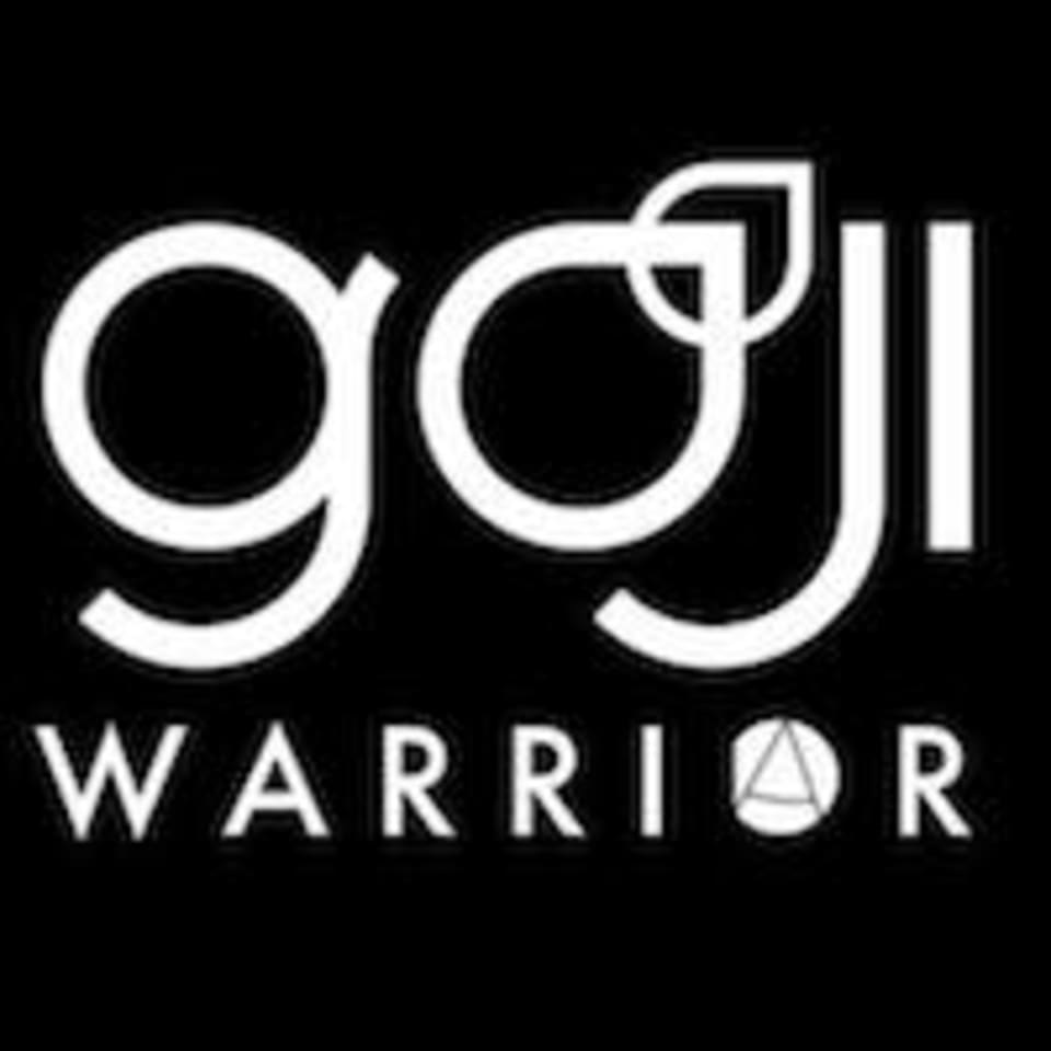 Warrior Academy logo