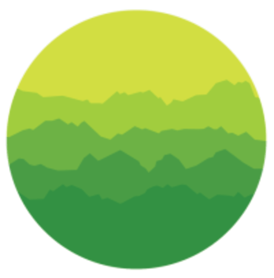 Fitsom Studios logo